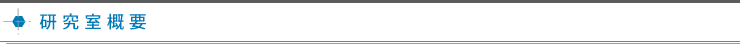 研究室概要